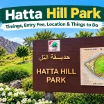 Hatta Hill Park: Timings, Entry Fee, Location & Things to DoÂ